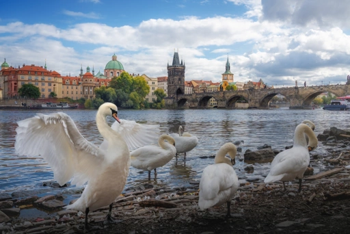 Melyik folyó folyik Prágában?